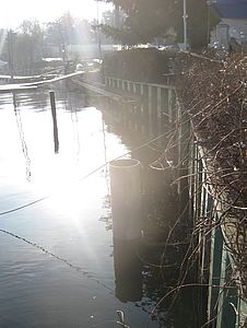 image-9525