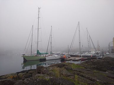 image-8519