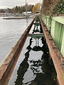 image-9513